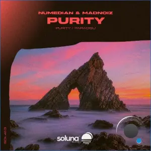 Numedian, Madnoiz - Purity (2026)