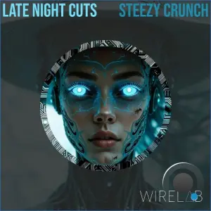 Late Night Cuts - Steezy Crunch (2026)