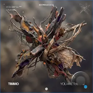 Timmo - You Are the One (2026)