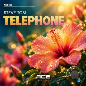 Steve Tosi - Telephone (2026)