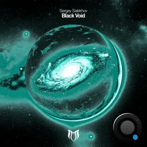 Sergey Salekhov - Black Void (2026)