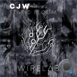 CJW - Static Bloom (2026)