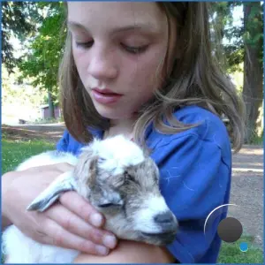 Sophia Stel - the greatest album of all time (2026)