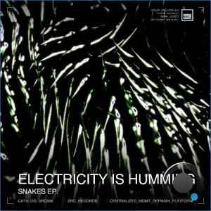 Electricity is Humming - Snakes (2026)