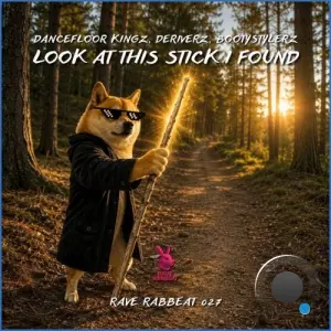 Dancefloor Kingz x Deriverz x Bootystylerz - Look At This Stick I Found (2026)