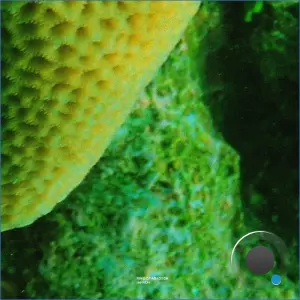 Ring Of Abaddon - Improh (2026)