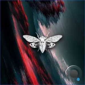 Moonphazes - Shift (2026)