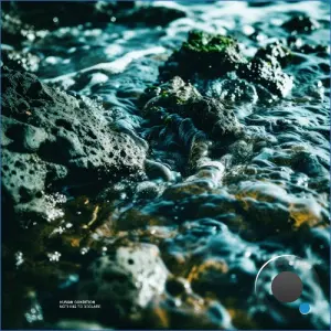 Human Condition - Nothing To Declare (2026)