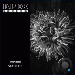 Vostro - Static (2026)