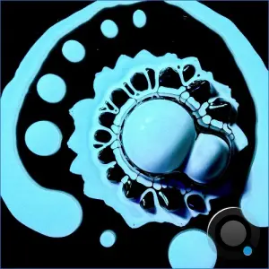 KYSH-003 (2026)