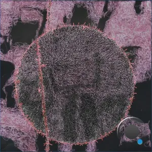 Laetizia - After Weather (2026)