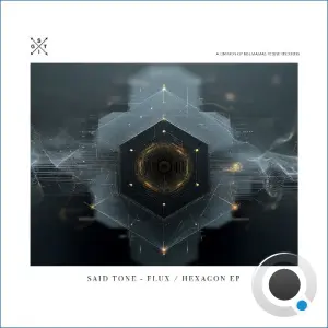 Said Tone - Flux / Hexagon (2026)