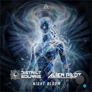 District Solaris & Alien Pilot - Night Bloom (2026)