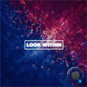Electronic Youth - Look Within (2026)