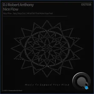 DJ Robert Anthony - Nice Flow (2026)