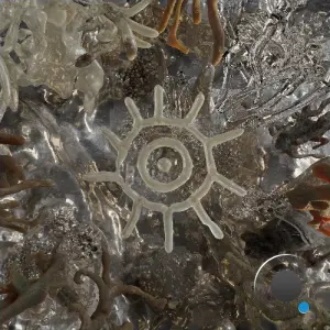 Shaku - What Remains (2026)