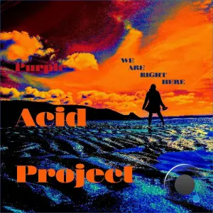 Purple Acid Project - We Are Right Here (2026)