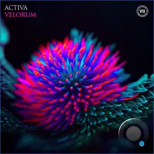 Activa - Velorum (2026)