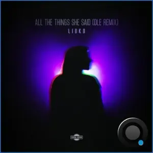 Liuko - All the Things She Said (DLE Remix) (2026)