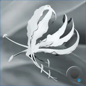 Gannein - NIENN001 (2026)