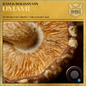 Ram & Bogdan Vix - Umami (2026)