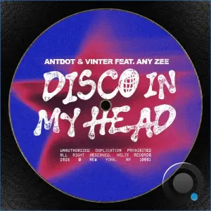 Antdot, Vinter (BR), ANY ZEE - Disco In My Head (2026)