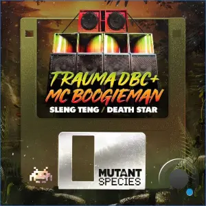 Trauma DBC, MC Boogieman - Sleng Teng (2026)