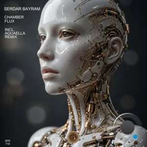 Serdar Bayram - Chamber (2026)