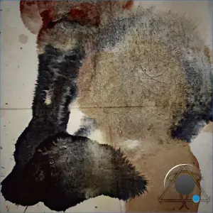 Mamwadi - Asymmetric (2026)