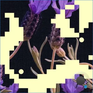 Jepe - So Lonely / Monologues (2026)