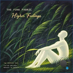 The Funk Fabric - Higher Feelings (2026)