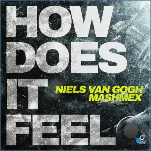Niels Van Gogh & Mashmex - How Does It Feel (2026)