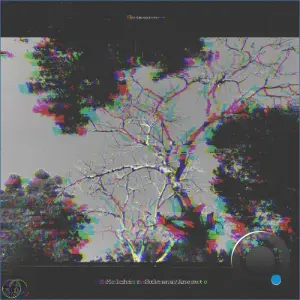 Melchior Sultana, Anesuto - Resonance (2026)