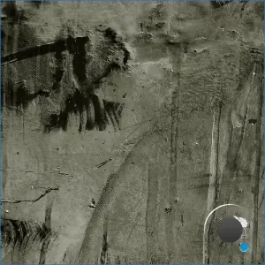 Butwho, Aronia - Changing Form (2026)