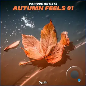 Autumn Feels 01 (2026)