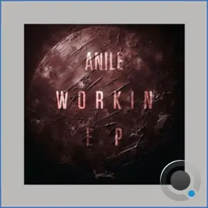 Anile - Workin (2026)