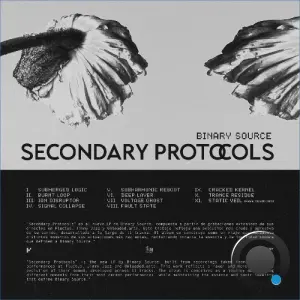 Binary Source - Secondary Protocols (2026)
