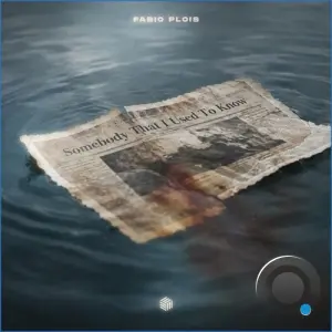 Fabio Plois - Somebody That I Used to Know (2026)
