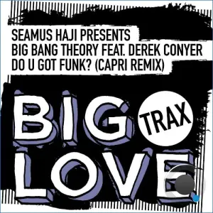 Seamus Haji presents Big Bang Theory ft Derek Conyer - Do U Got Funk (Capri Remix) (2026)