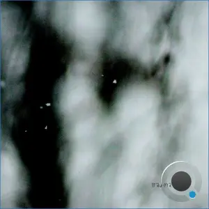Stablematic - Organic Life (2026)