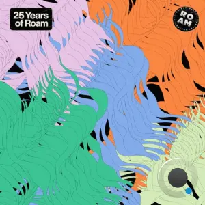 Roam 25 Year Compilation (2026)