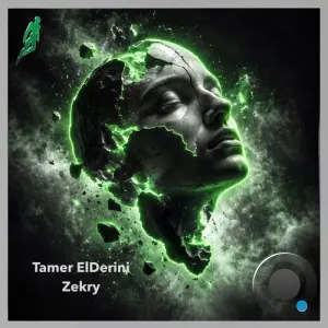 Tamer ElDerini - Zekry (2026)