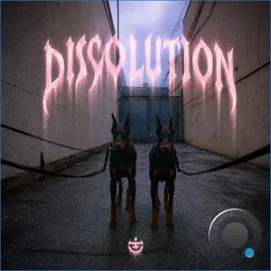 Mike Gannu, Samuel Wallen - Discolution (2026)