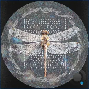 Olive Kimoto & Now Always Fades - Coalesce (2026)