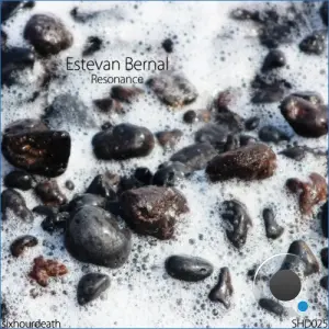 Estevan Bernal - Resonance (2026)