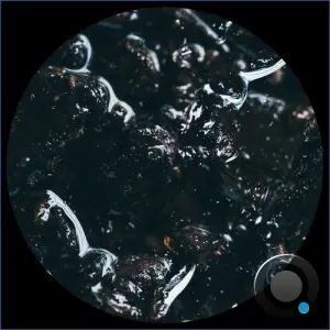 Tarantula Nebula - Unknown Species (2026)