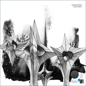 Havantepe - Conform (2026)