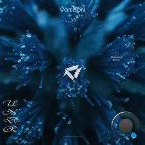 Voison - Seeing Blue (2026)