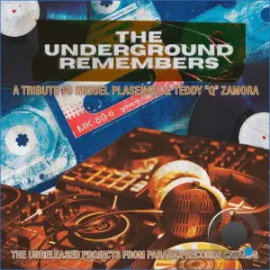 Miguel Plasencia - We Have Music (Jazzy Dub Mix) (2026)