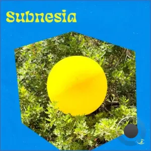 Subnesia - The Truth Is (Discomix) (2026)
